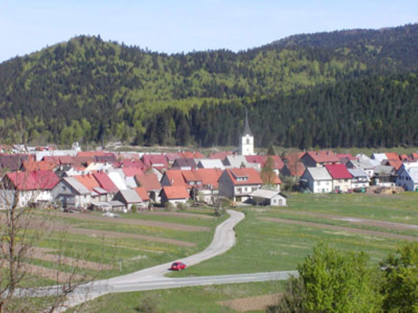 Delnice