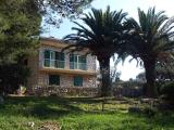 HOUSE OF Osama - CSAK tenger és a fenyő! Mérári Villa található, a parton egy öbölben közö...
