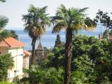 Apartman "Camellia" található az első emeleten egy régi villa egy csendes utcában Opatija...