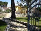 Villa Damir